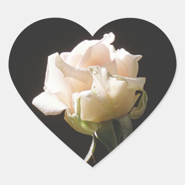 Adesivo Coração Rosa de cor creme sobre fundo escuro (Frente)