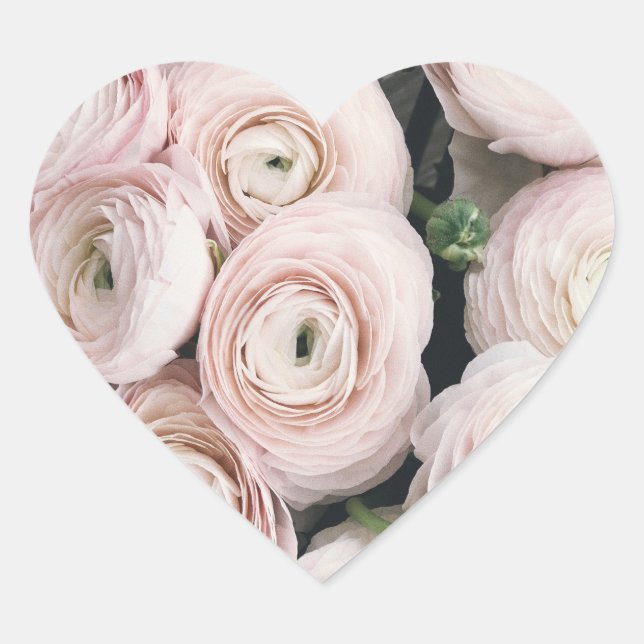 Adesivo Coração Rosa de SEMENTES FELIZES, VELOCIDADES PEQUENAS, 1, (Frente)