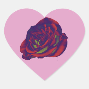 Adesivo Coração Rosa vermelha
