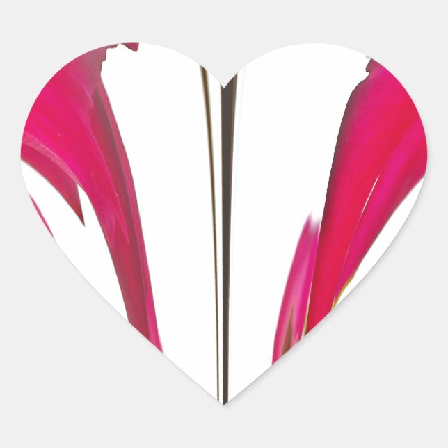 Adesivo Coração Rosa vermelha fantástica do chic sob o céu branco. (Frente)