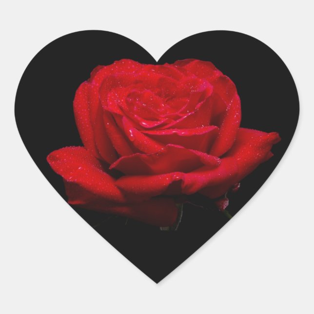 Adesivo Coração Rosa vermelha vermelha (Frente)