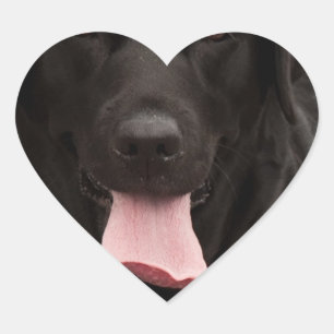 Adesivo Coração Rosto de cachorro preto