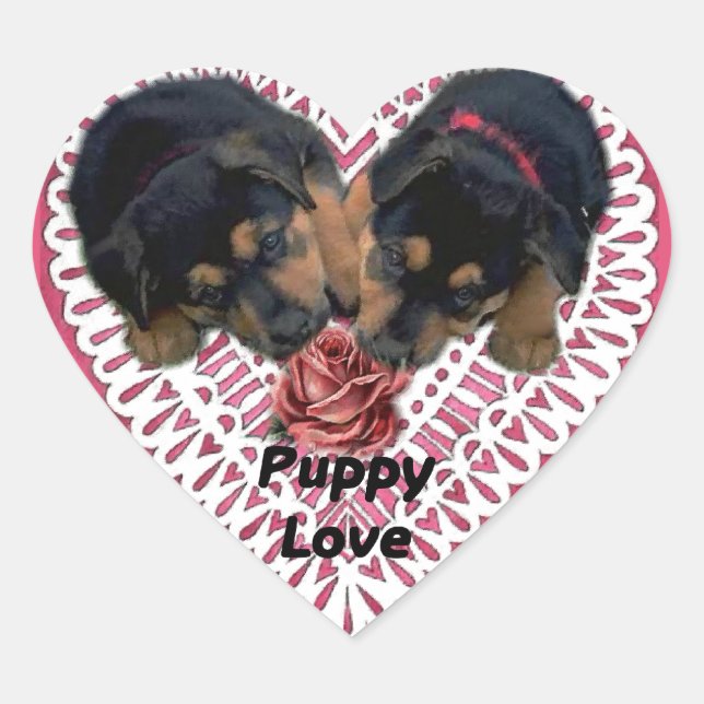 Adesivo Coração Rottweiler Dias de os namorados de Amor (Frente)