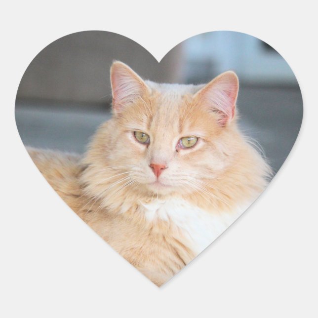 Adesivo Coração Ruffles (Frente)