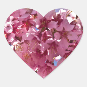 Adesivo Coração Sakura Flores de Cerejeira Estrelas Vermelhas