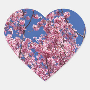 Adesivo Coração Sakura Flores de Cerejeira no Azul