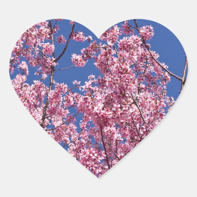 Adesivo Coração Sakura Flores de Cerejeira no Azul (Frente)