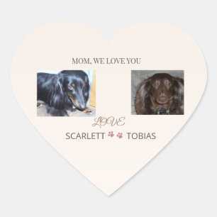 Adesivo Coração Selado com Amor de Duas Patas