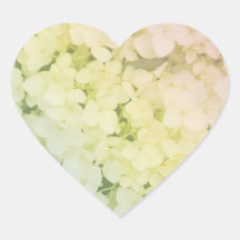 Soft Pastel Rainbow Hydrangea