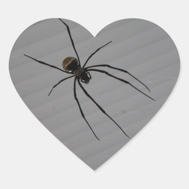 Adesivo Coração Spider Heart Sticker (Frente)