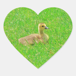 Adesivo Coração Sticker