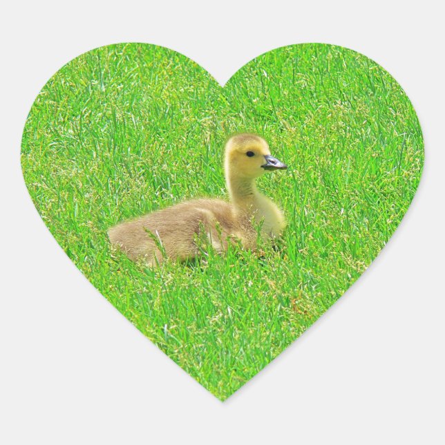 Adesivo Coração Sticker (Frente)