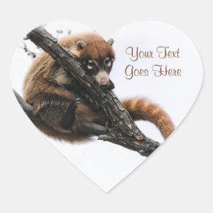 Adesivo Coração Sticker: Coatimundi #5 (Coração)