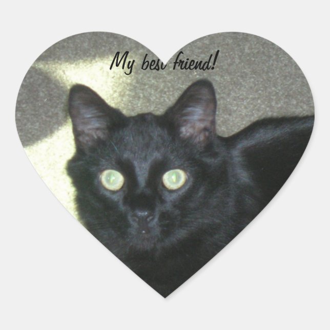 Adesivo Coração Sticker (hrt) - Meu melhor amigo (Frente)