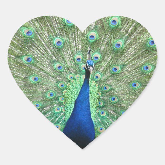 Adesivo Coração Sticker (hrt) - Peacock (Frente)