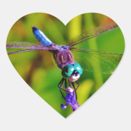Adesivo Coração Teal Rainbow Dragonfly