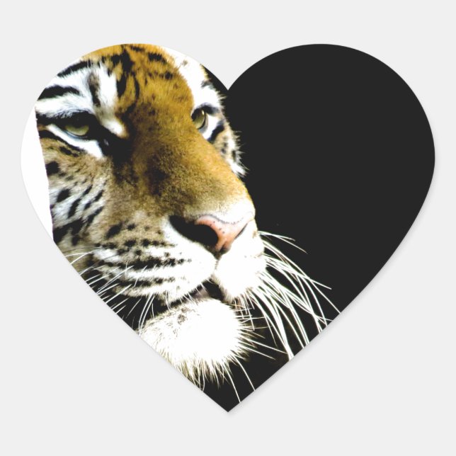 Adesivo Coração Tigre (Frente)