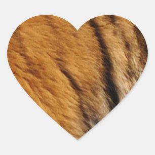 Adesivo Coração Tigre-Stripes-Big Cat Wildlife