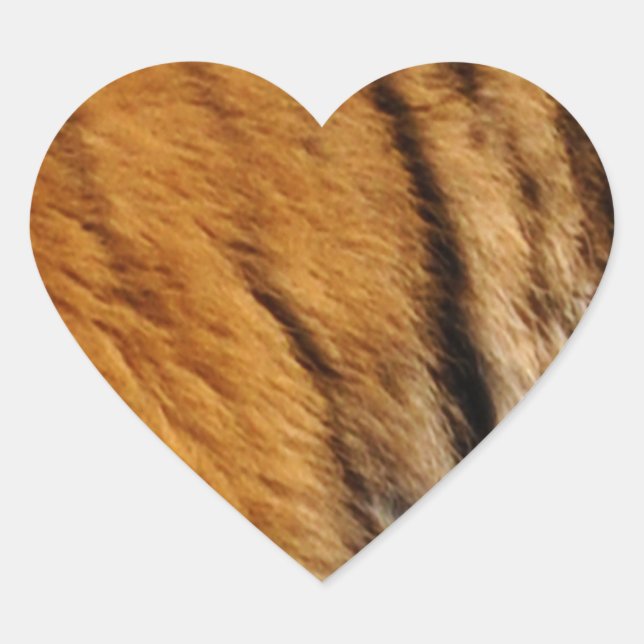 Adesivo Coração Tigre-Stripes-Big Cat Wildlife (Frente)