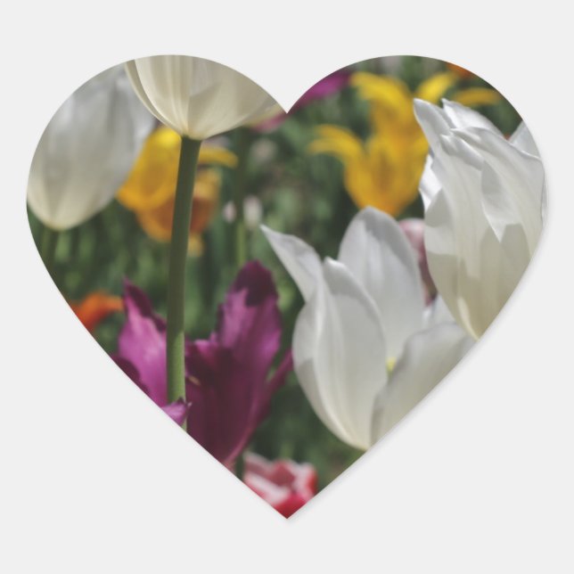 Adesivo Coração Tulipas (Frente)