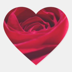 Adesivo Coração Única rosa vermelha