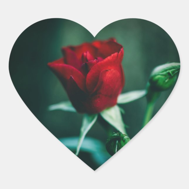 Adesivo Coração único vermelho (Frente)