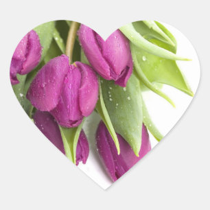 ADESIVO CORAÇÃO VESTÍGIOS DE SEAL DE ENVELOPE DE TULPOS PUROS
