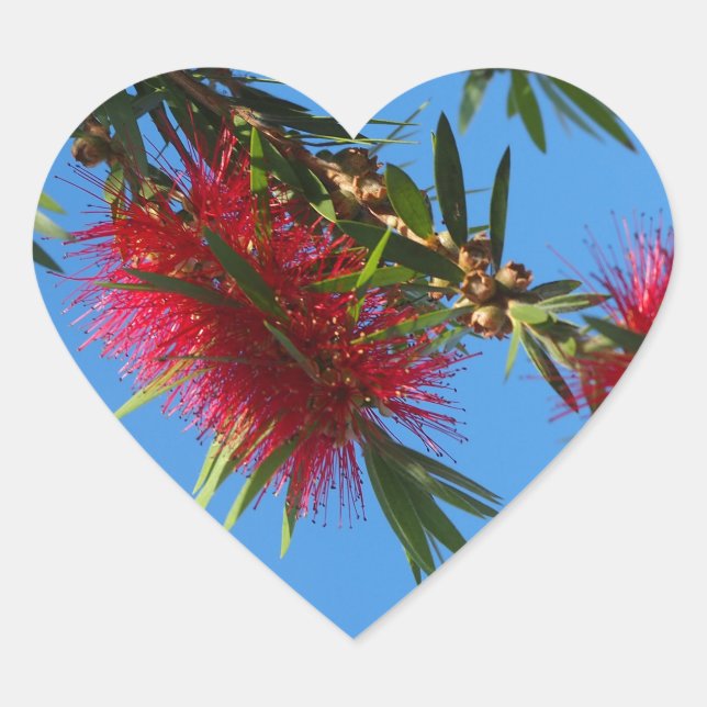 Adesivo Coração Vinheta-cardíaca de escova vermelha (Frente)