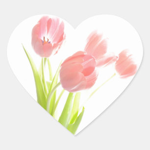 Adesivo Coração Vinheta cardíaca de tulipa cor-de-rosa