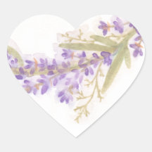 Vinheta das flores da Lavanda de aquarelas