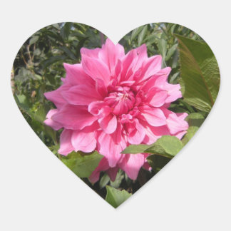 Adesivo Coração Vinheta de Coração Flor