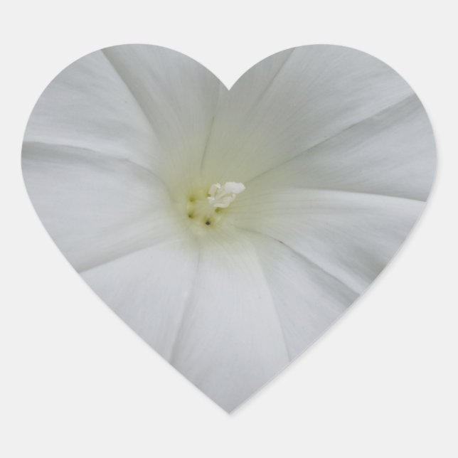 Adesivo Coração Vinheta de Coração Flor Branco (Frente)