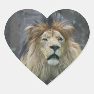 Adesivo Coração Vinheta de Leão