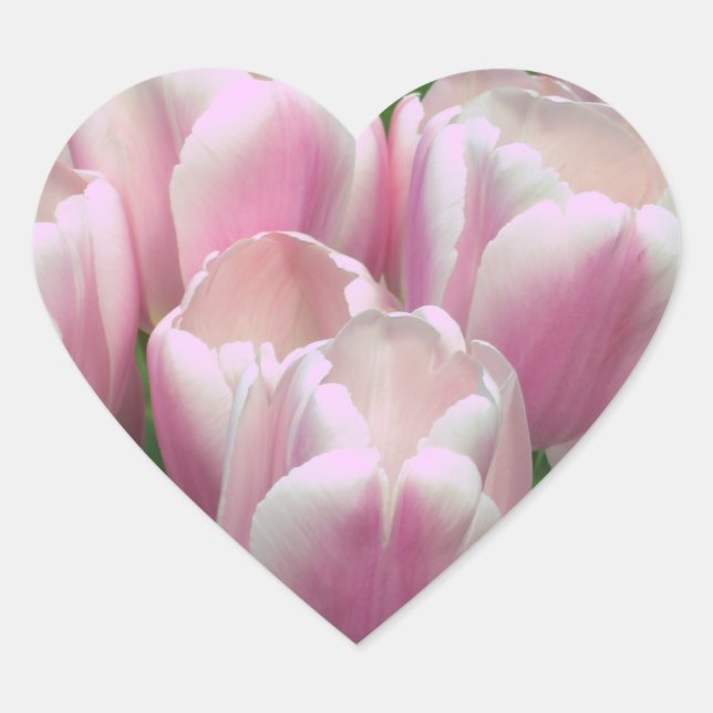 Adesivo Coração Vinheta de Tulipas Rosa (Frente)