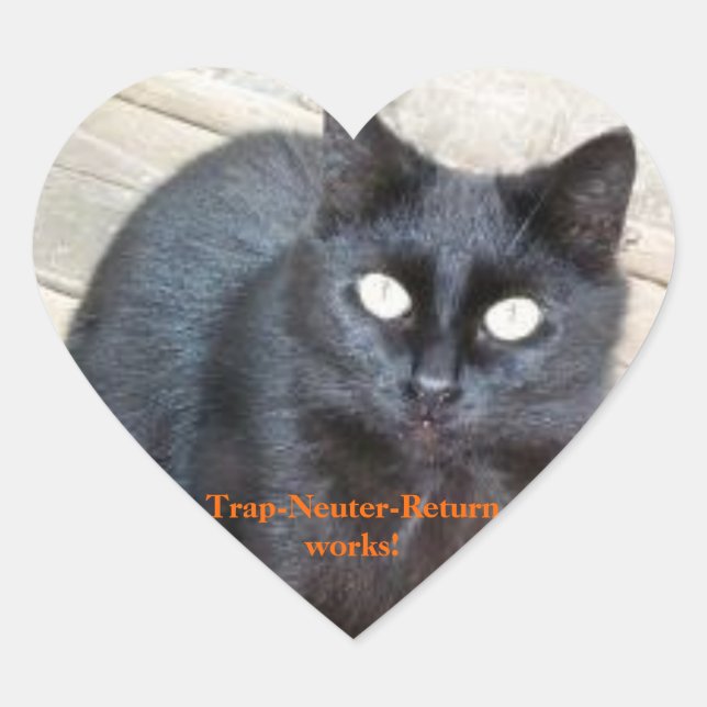 Adesivo Coração Vinhetas cardíacas de retorno (Frente)