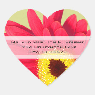 Adesivo Coração Vinhetas de Casamento de Gerber Daisy, Rosa Elegan