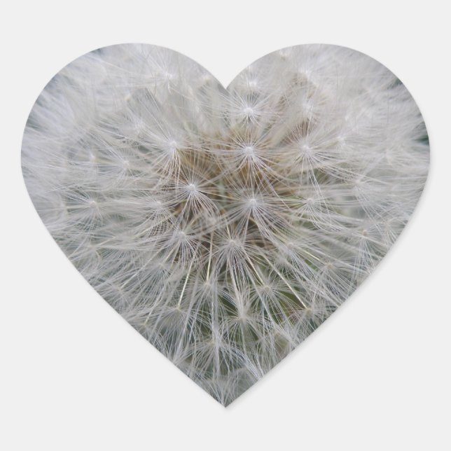 Adesivo Coração Vinhetas de Dandelion para sementeira (Frente)