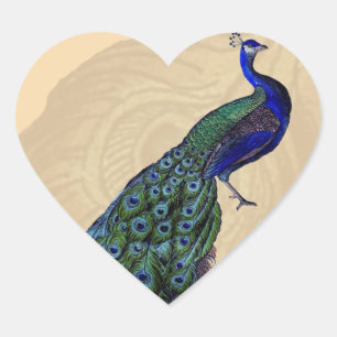 Adesivo Coração Vintage Peacock Heart Stickers