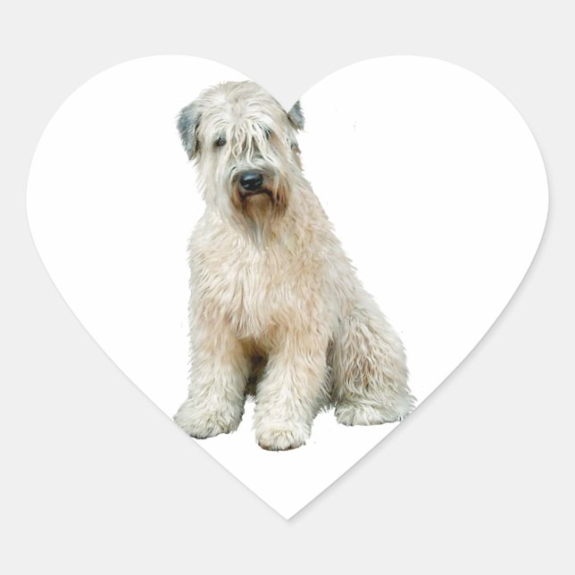 Adesivo Coração Wheaten Terrier (C) (Frente)