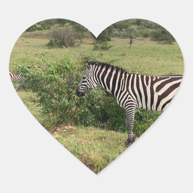 Adesivo Coração Zebra Sticker (Frente)