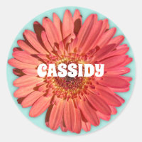 Coral Colorido Gerbera Daisy Photo Mint Green
