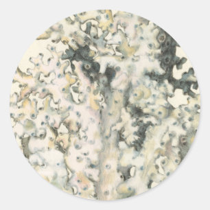 Adesivo Coral de Aquarela Antiquada