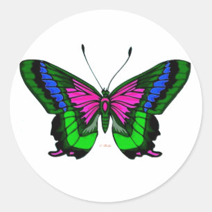 Adesivo Cores brilhantes 5 dos verões