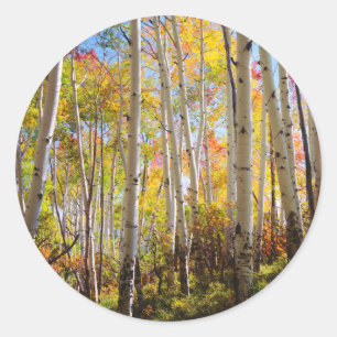 Adesivo Cores de outono das árvores Aspen 5