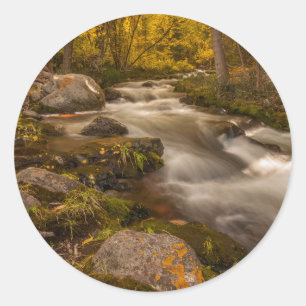 Adesivo Cores de outono no Crestone Creek