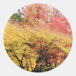 Adesivo Cores de queda em Seattle