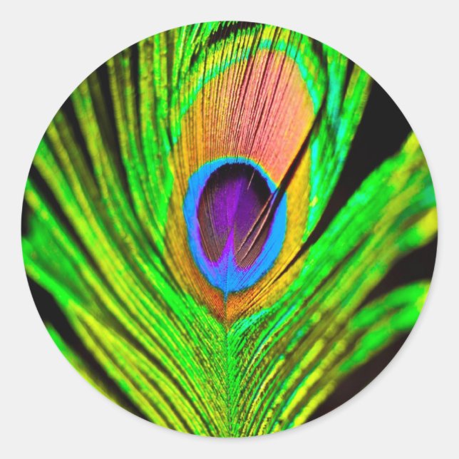 Adesivo Cores Neon Pena de Pavão (Frente)