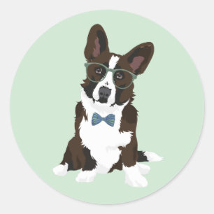 Adesivo Corgi legal de Galês do casaco de lã do hipster