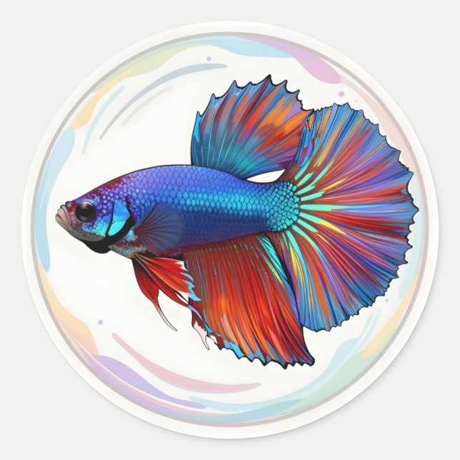 Adesivo Corrente Iridescente – Arte de Peixe Betta Clássic (Frente)