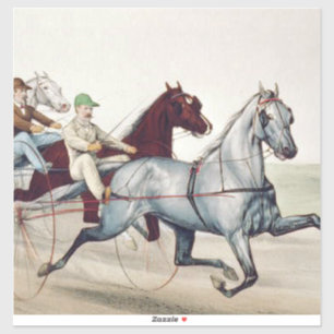 Adesivo Corrida de arnês superior